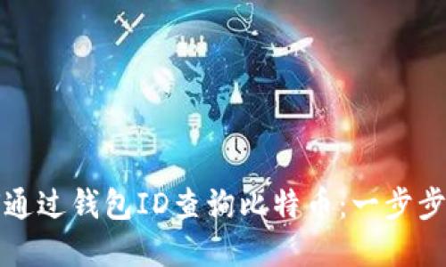 如何通过钱包ID查询比特币：一步步详解