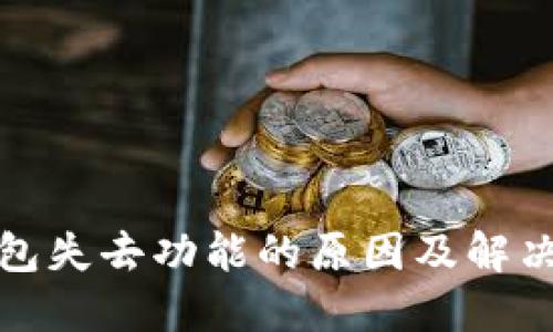 TP钱包失去功能的原因及解决方案