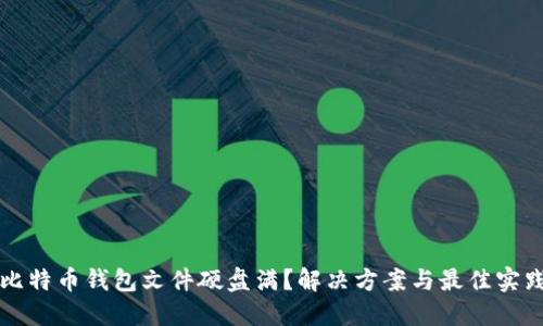 比特币钱包文件硬盘满？解决方案与最佳实践