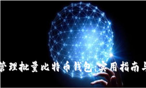 如何高效管理批量比特币钱包：实用指南与最佳实践