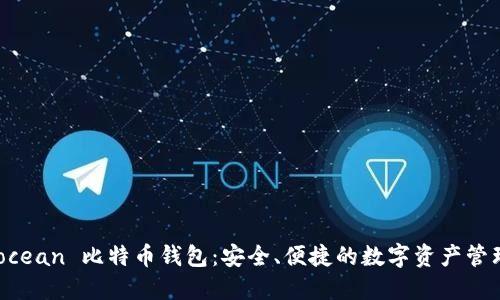 Hashocean 比特币钱包：安全、便捷的数字资产管理利器