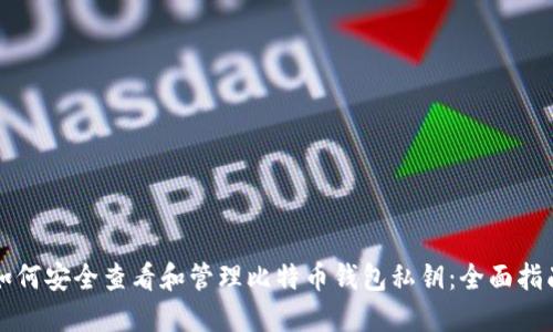 如何安全查看和管理比特币钱包私钥：全面指南