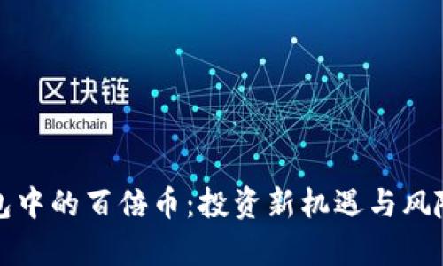 TP钱包中的百倍币：投资新机遇与风险解析