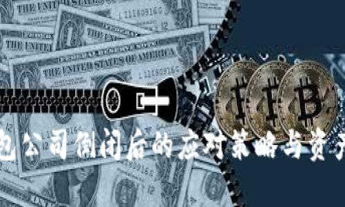 比特币钱包公司倒闭后的应对策略与资产保护指南