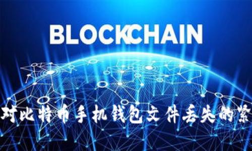 如何应对比特币手机钱包文件丢失的紧急情况