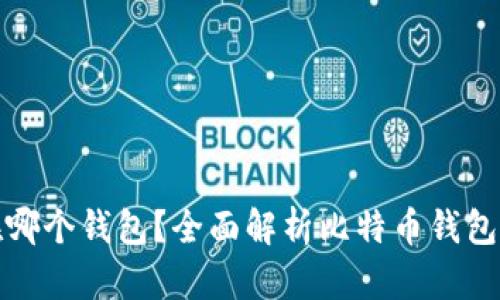 比特币存放在哪个钱包？全面解析比特币钱包类型与安全性