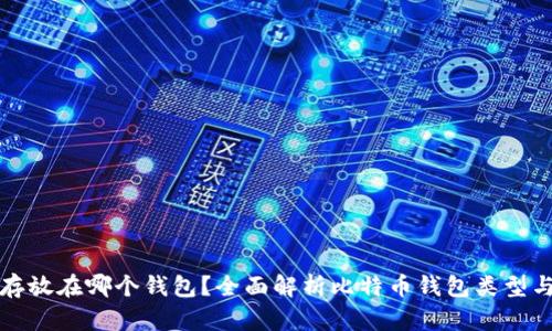 比特币存放在哪个钱包？全面解析比特币钱包类型与安全性