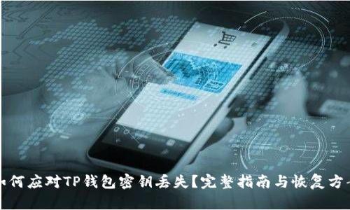 如何应对TP钱包密钥丢失？完整指南与恢复方案