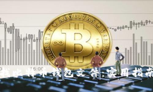如何寻找比特币钱包文件：实用指南与技巧