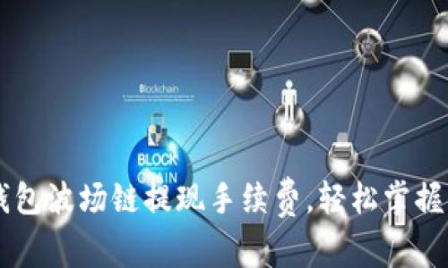 了解TP钱包波场链提现手续费，轻松掌握费用动态