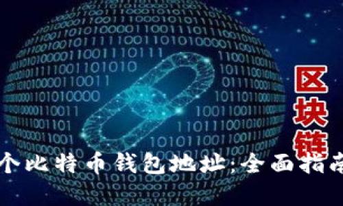 如何管理多个比特币钱包地址：全面指南与最佳实践