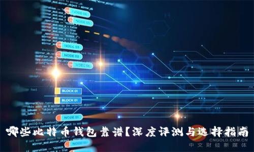 哪些比特币钱包靠谱？深度评测与选择指南
