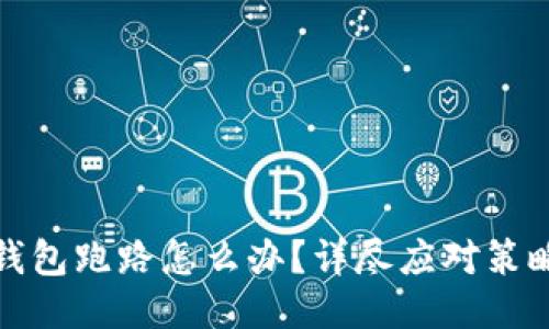 如果TP钱包跑路怎么办？详尽应对策略大揭秘