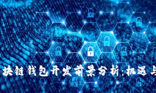 2024年区块链钱包开发前景分析：机遇与挑战并存