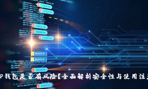 下载TP钱包是否有风险？全面解析安全性与使用注意事项