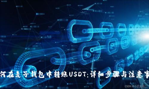 如何在麦子钱包中转账USDT：详细步骤与注意事项