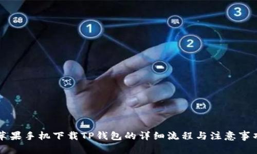 苹果手机下载TP钱包的详细流程与注意事项