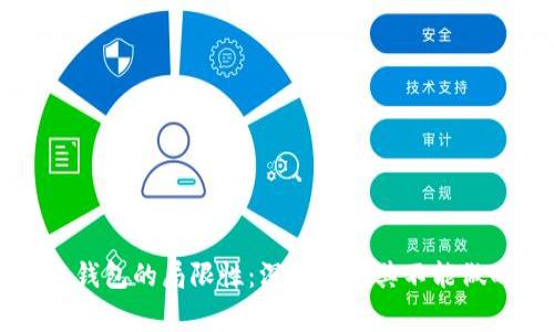 区块链钱包的局限性：深度解析其不能做的事情