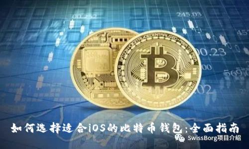如何选择适合iOS的比特币钱包：全面指南