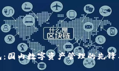 TP钱包：国内数字资产管理的先锋与机遇