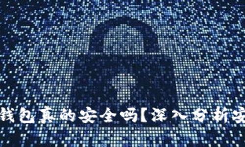 区块链数字钱包真的安全吗？深入分析安全性与风险