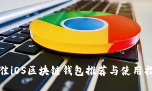 最佳iOS区块链钱包推荐与使用指南