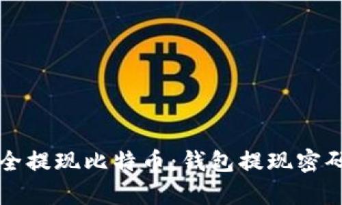 如何安全提现比特币：钱包提现密码全解析