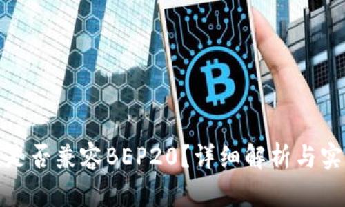 TP钱包是否兼容BEP20？详细解析与实用建议