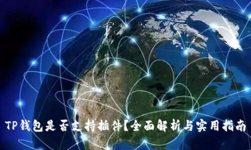 TP钱包是否支持插件？全面解析与实用指南