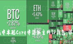 如何在中本聪Core中添加主