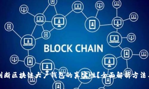 如何判断区块链大户钱包的真实性？全面解析方法与技巧