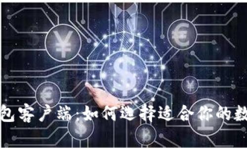 比特币节点与钱包客户端：如何选择适合你的数字货币管理工具