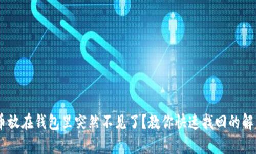 USDT币放在钱包里突然不见了？教你快速找回的解决方案
