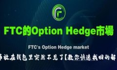 USDT币放在钱包里突然不见