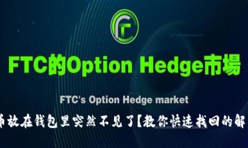 USDT币放在钱包里突然不见了？教你快速找回的解决方案